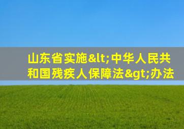 山东省实施<中华人民共和国残疾人保障法>办法